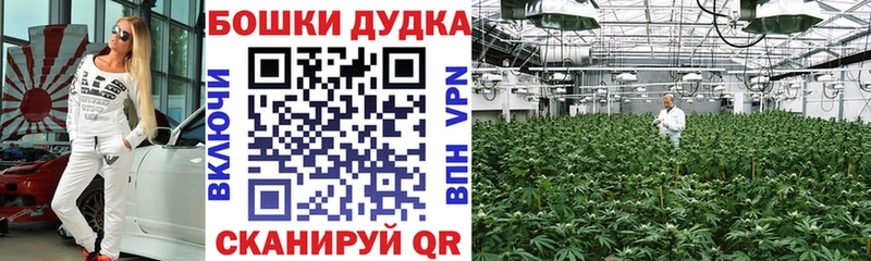 Купить наркотики Пикалёво Гашиш  Мефедрон 