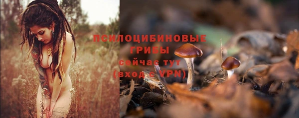 сатива Михайловск