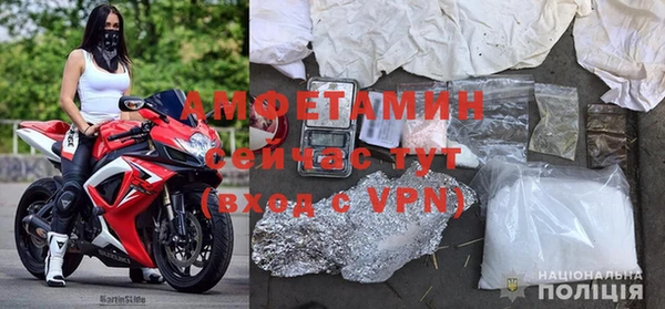 винт Бикин