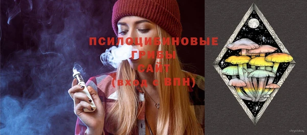 марки lsd Билибино