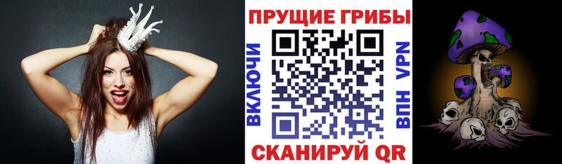 Галлюциногенные грибы Psilocybe  Пикалёво 